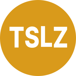 Tradr 2X Short TSLA Daily ETF aStock Logo