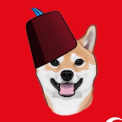 Logo Turk Shiba