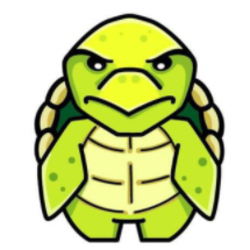 Turtle Logo
