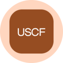 US Copper Index Fund (Ondo Tokenized) Logo