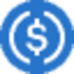 Bridged USD Coin (Wormhole BNB) Logo
