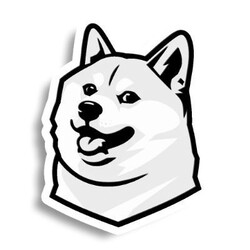 USD1DOGE Logo