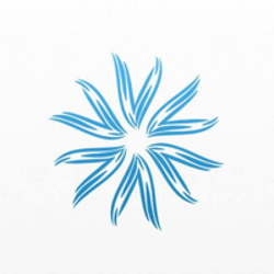 Valyr Logo