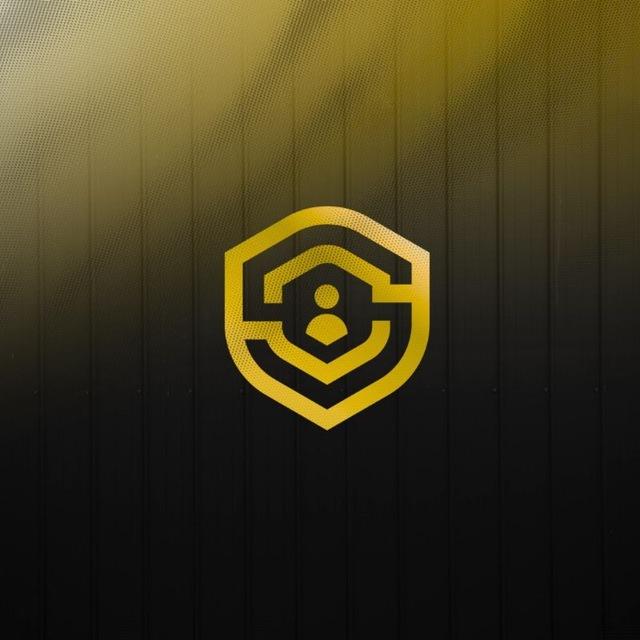 Verity Vault Logo