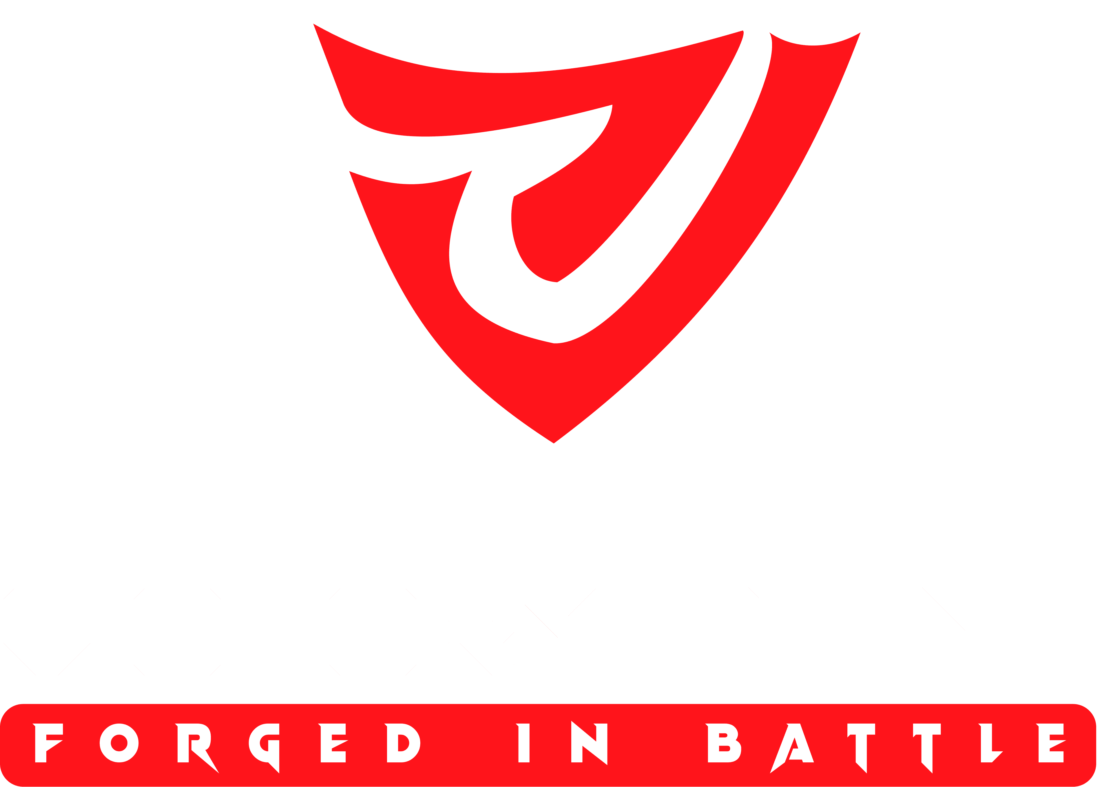 Victory Point Logo