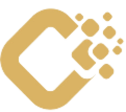 Vidiachange Logo