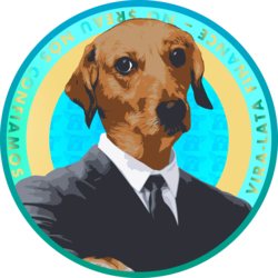Vira-Lata Finance Logo