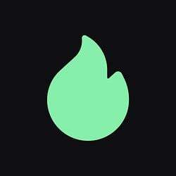 Virl.fun Logo