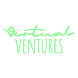 Virtuals Ventures by Virtuals Logo