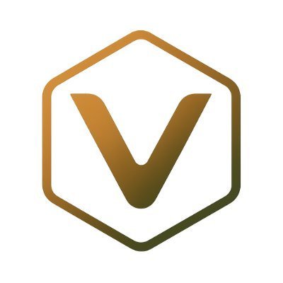 VirtUs Bridge Aggregator Logo
