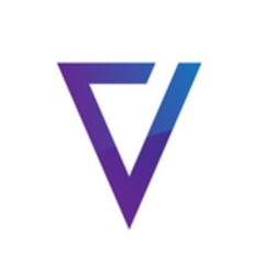 VZZN Logo