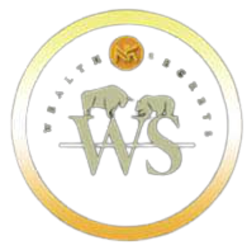 WealthSecrets Logo