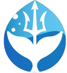 Whale Hunter Finance Logo