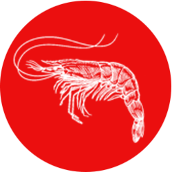 WhaleStreet $hrimp Token Logo