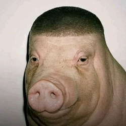 Wigger Pig Logo