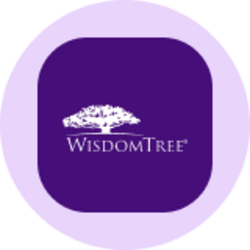 WisdomTree US Quality Dividend Growth Fund (Ondo Tokenized) Logo