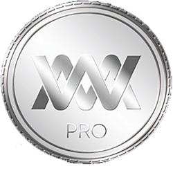 WM PROFESSIONAL Logo
