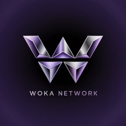 Logo Woka Network