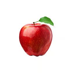 World Record Apple Logo