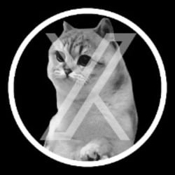 XCatge Logo