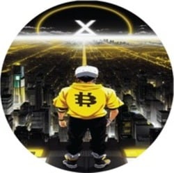 XenBitcoin Logo