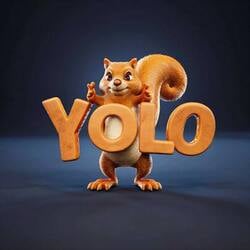YOLO Logo