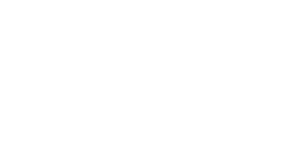 Yolo.ex Logo