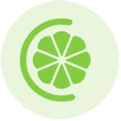 Yuzu USD Logo