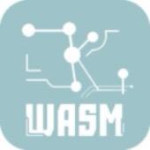 ZKWASM Logo