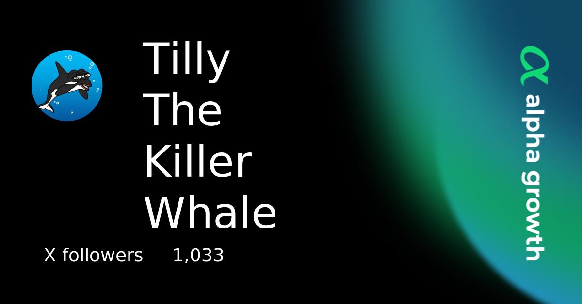 Tilly The Killer Whale & tilly Token Crypto Analytics & User Data
